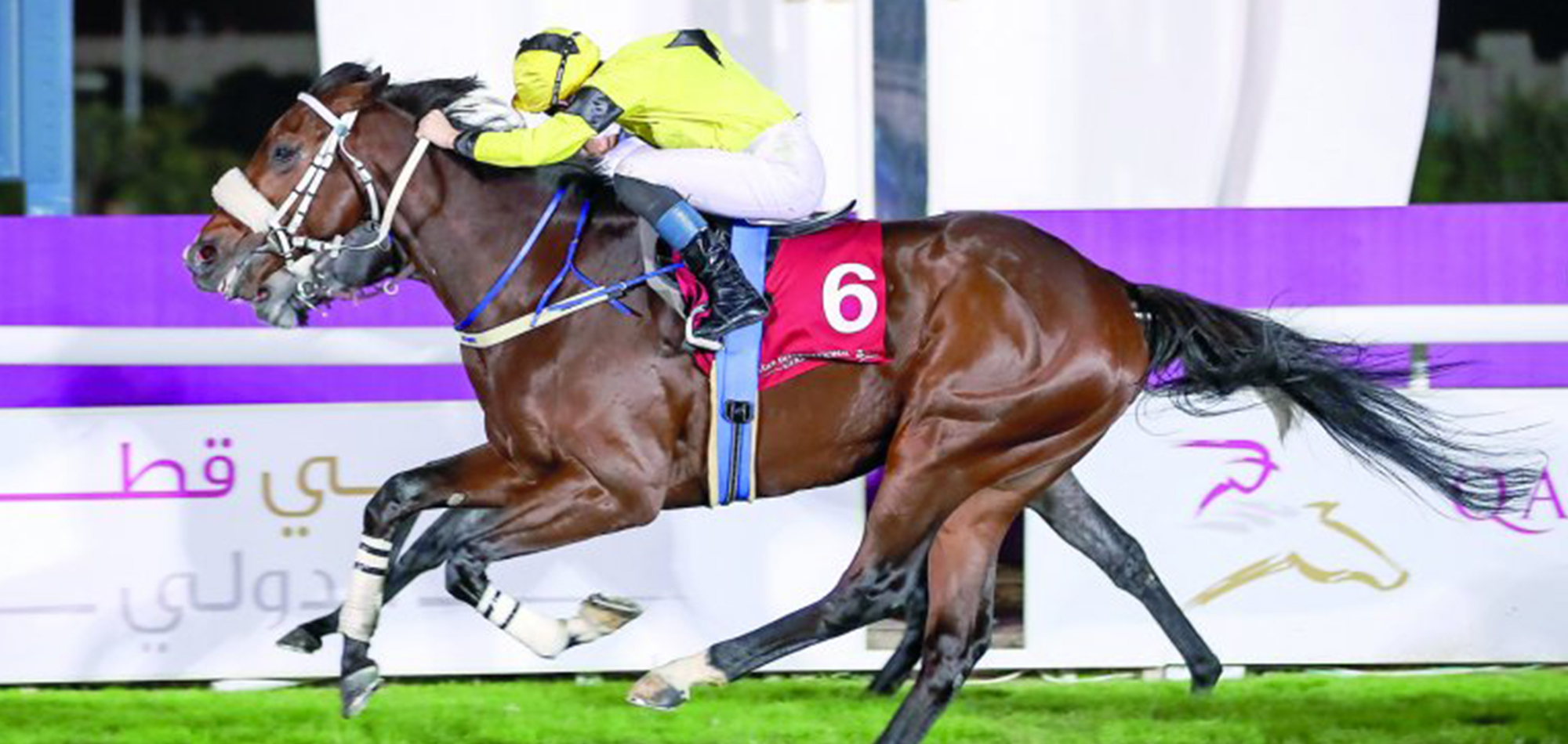 FULL MOON SHINES AS CURATOLO GRABS GLORY IN FINE