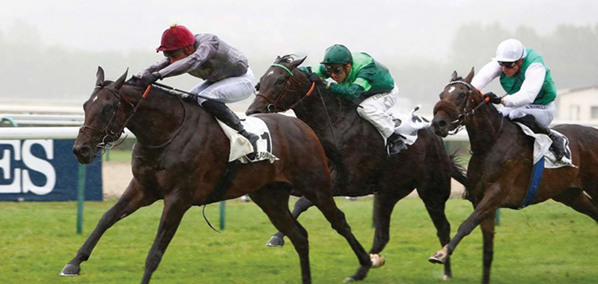 WOODED TAKES HOME THE PRIX DE TOUR EN BESSIN 