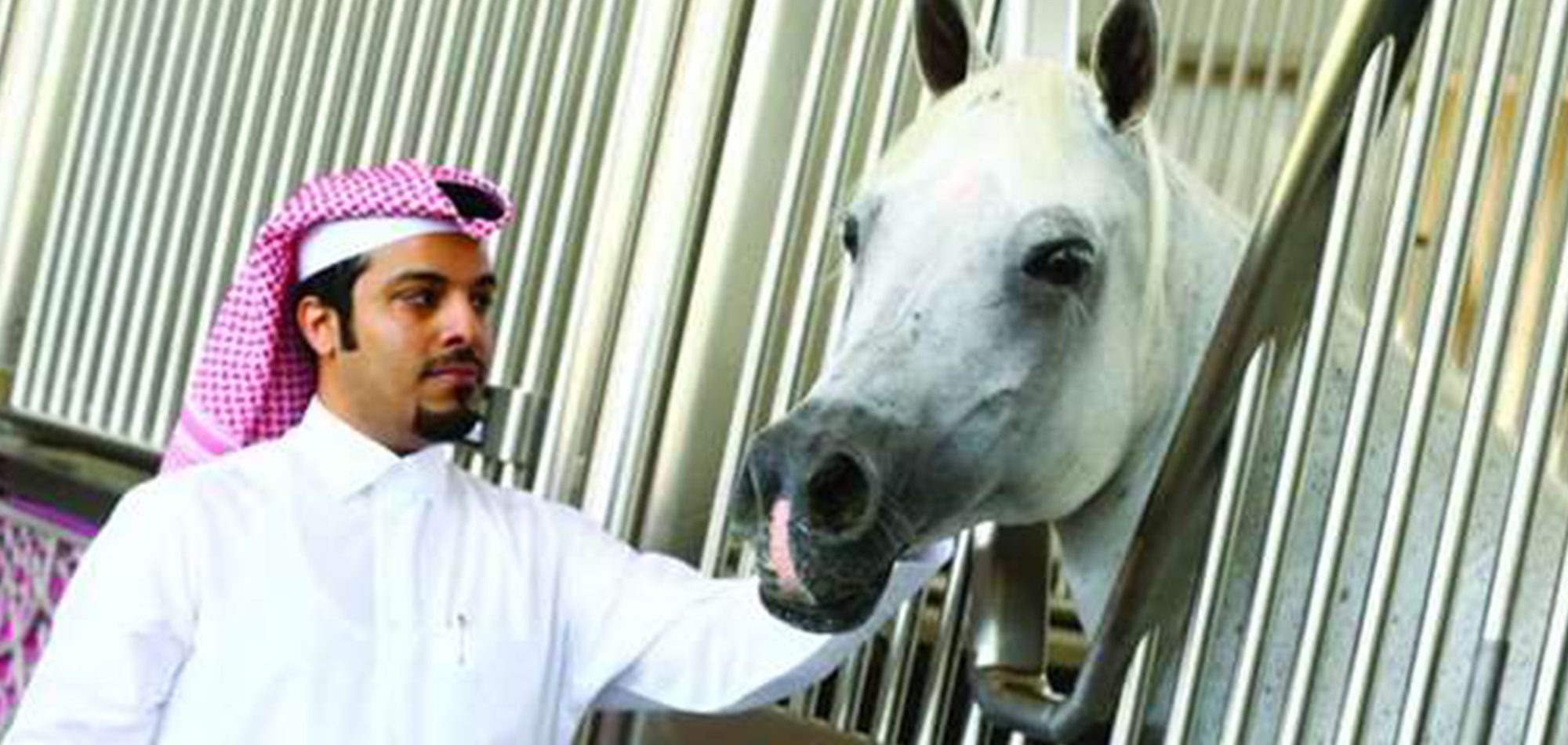 LECTURE HIGHLIGHTS ROLE OF ARABIAN THOROUGHBREDS IN QATARI SOCIAL LIFE