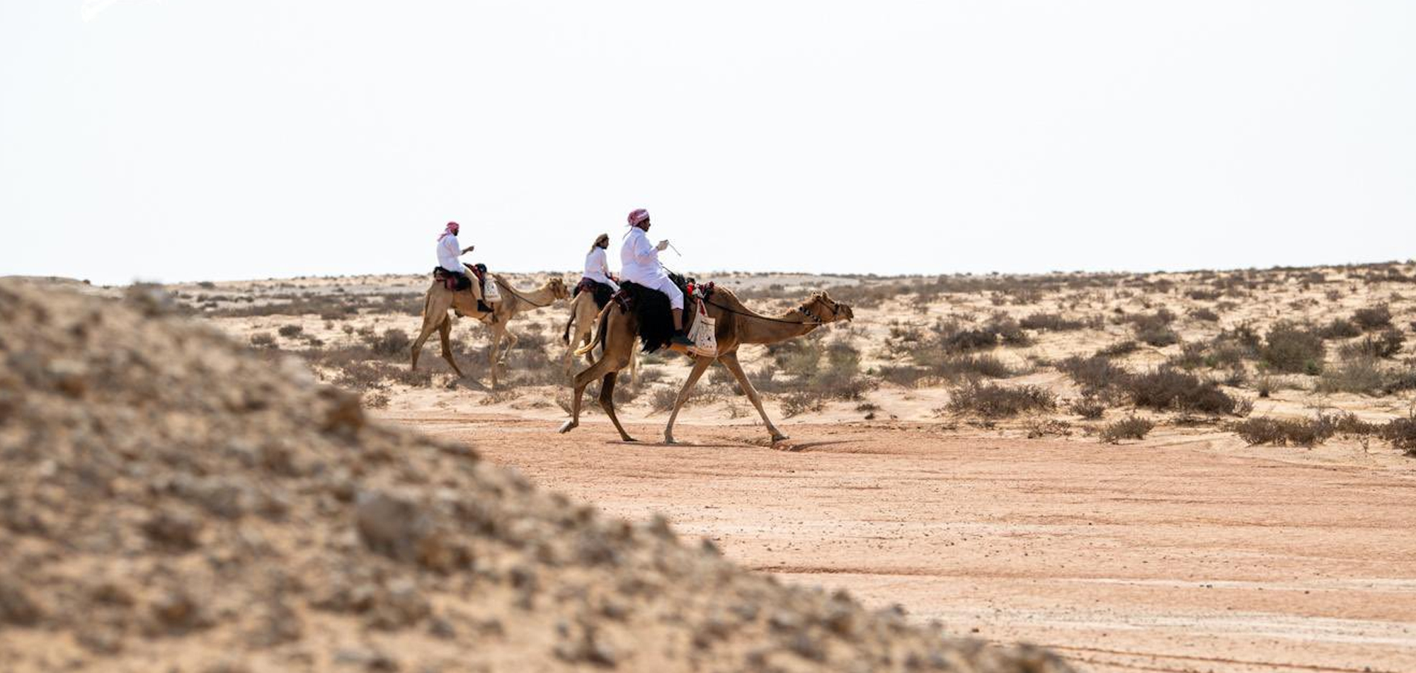 Al Rayyan Team Continues to Lead Fourth Group of Al Galayel Championship 