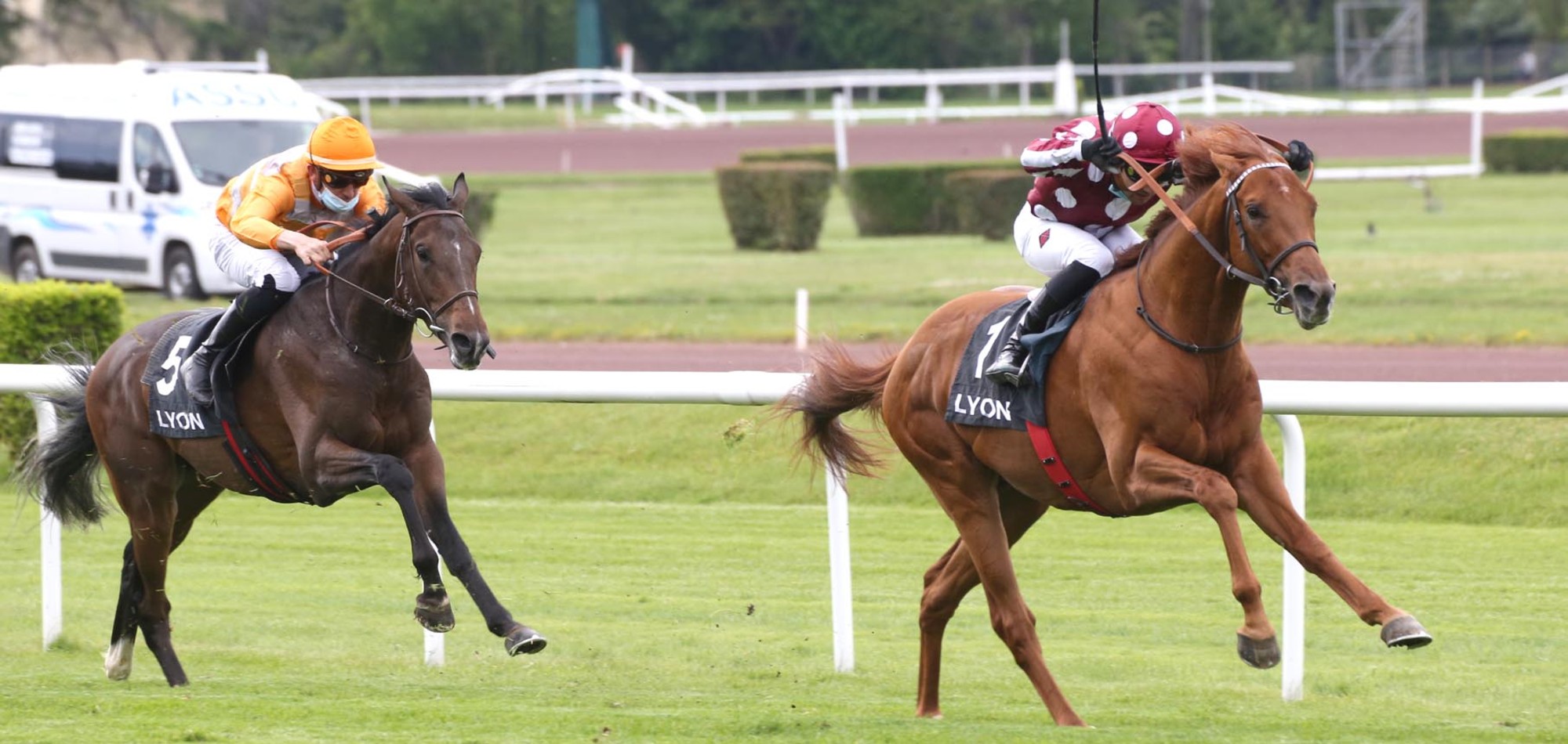 H.H. Sheikh Abdullah Bin Khalifa Al Thani’s MUTABAHI wins Prix Louis Saulnier