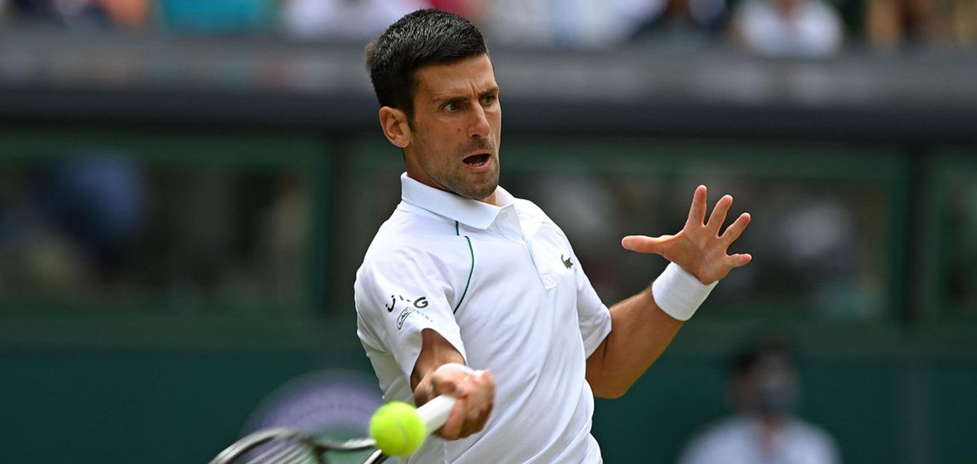 Djokovic into 50th Grand Slam quarter-final