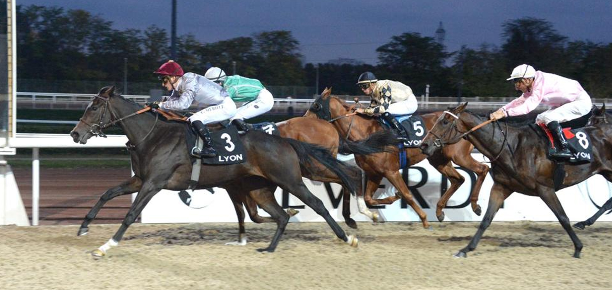 Al Shaqab Racing’s TAFSER breaks maiden at Lyon