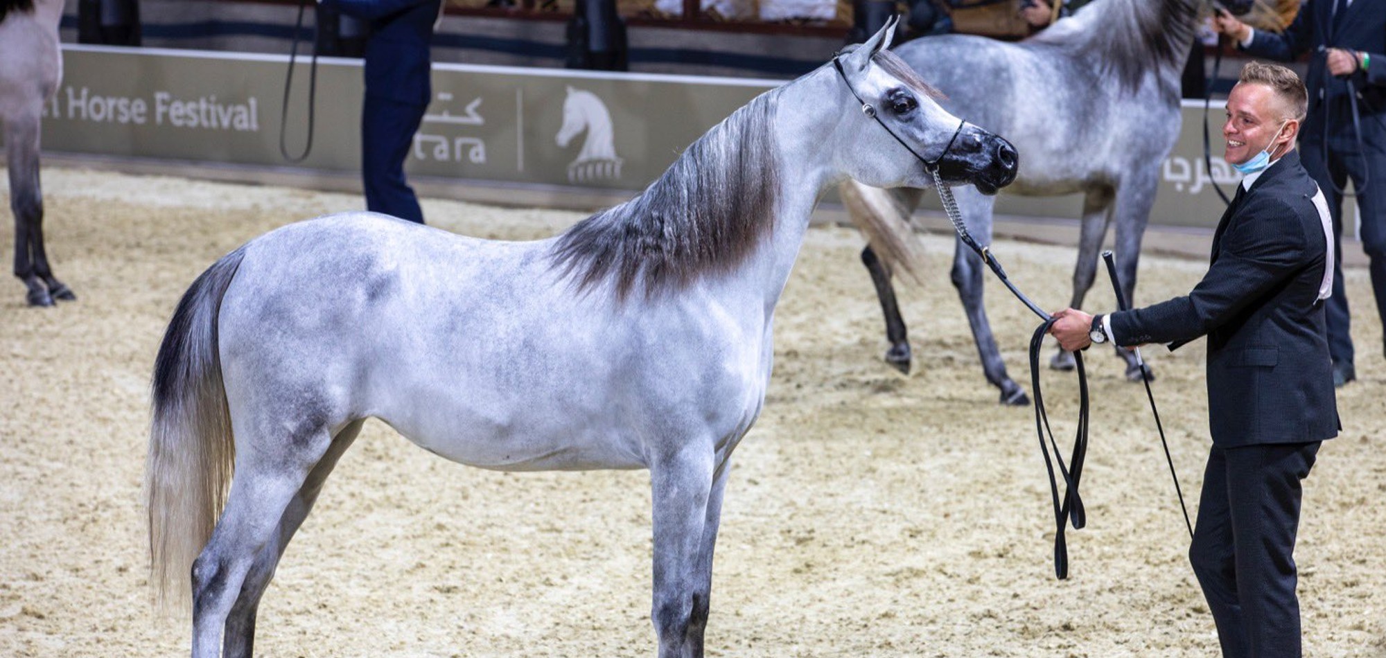 Second Katara International Arabian Horse Festival gets off to a grand start