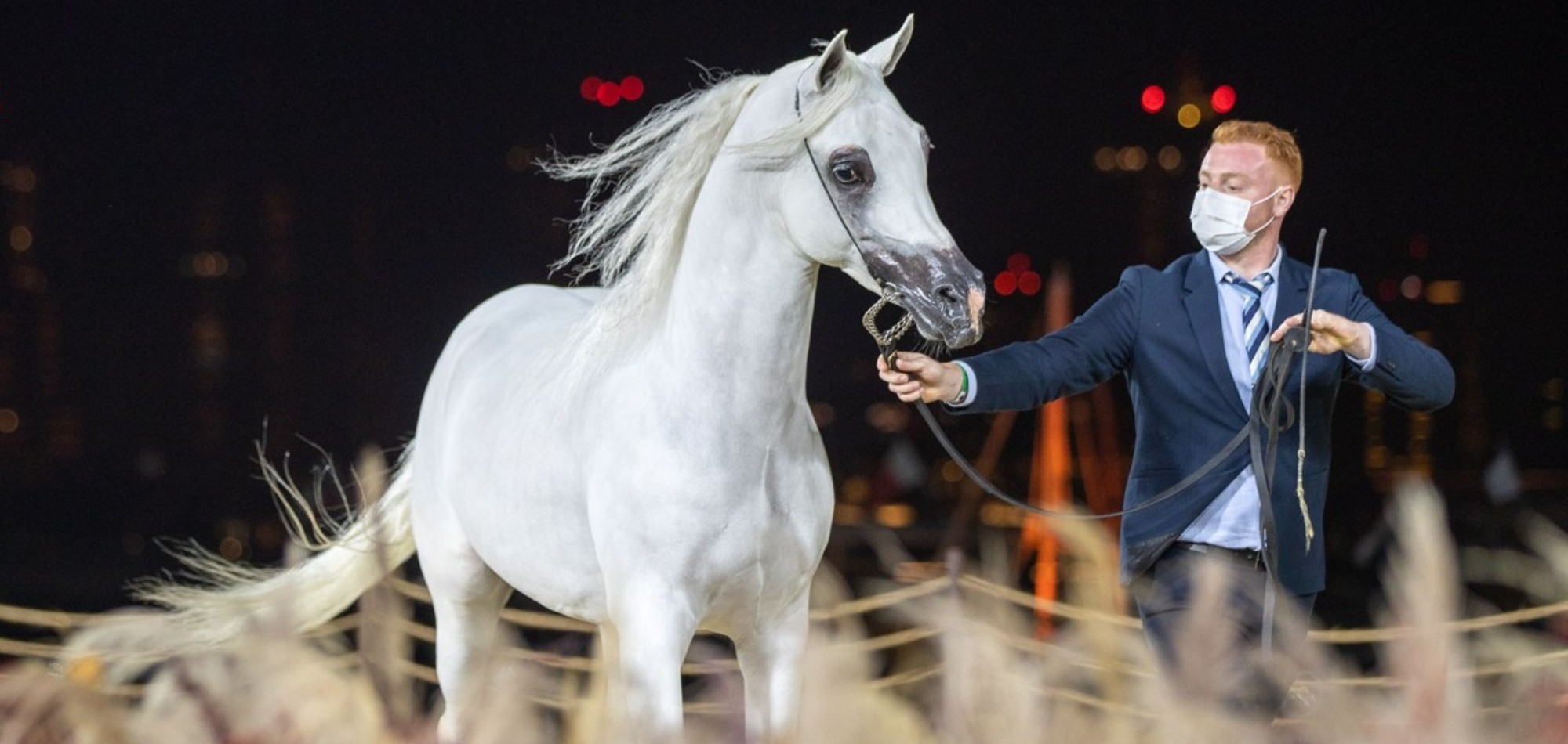 Naseem Al Rashediah emerges best Senior Stallion in KIAHF 2022