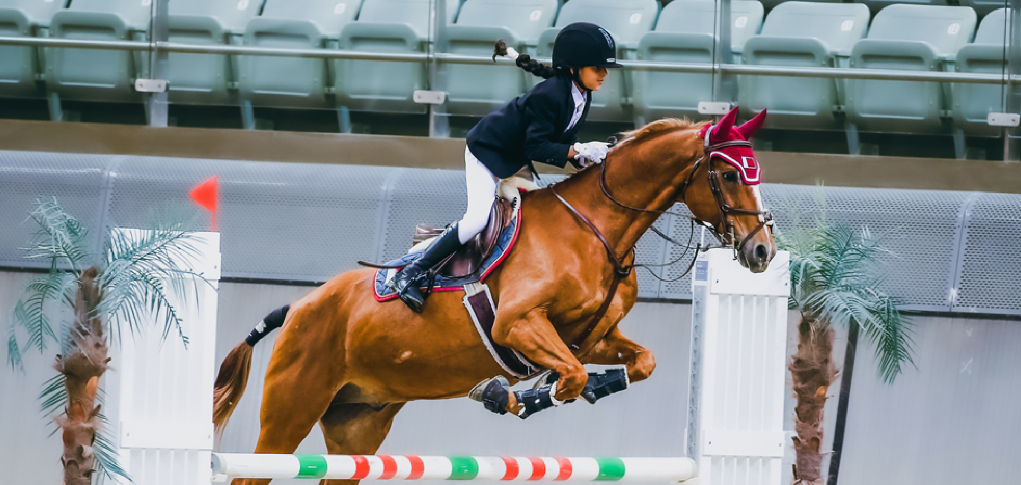 Al Shaqab Academy Competition gets underway