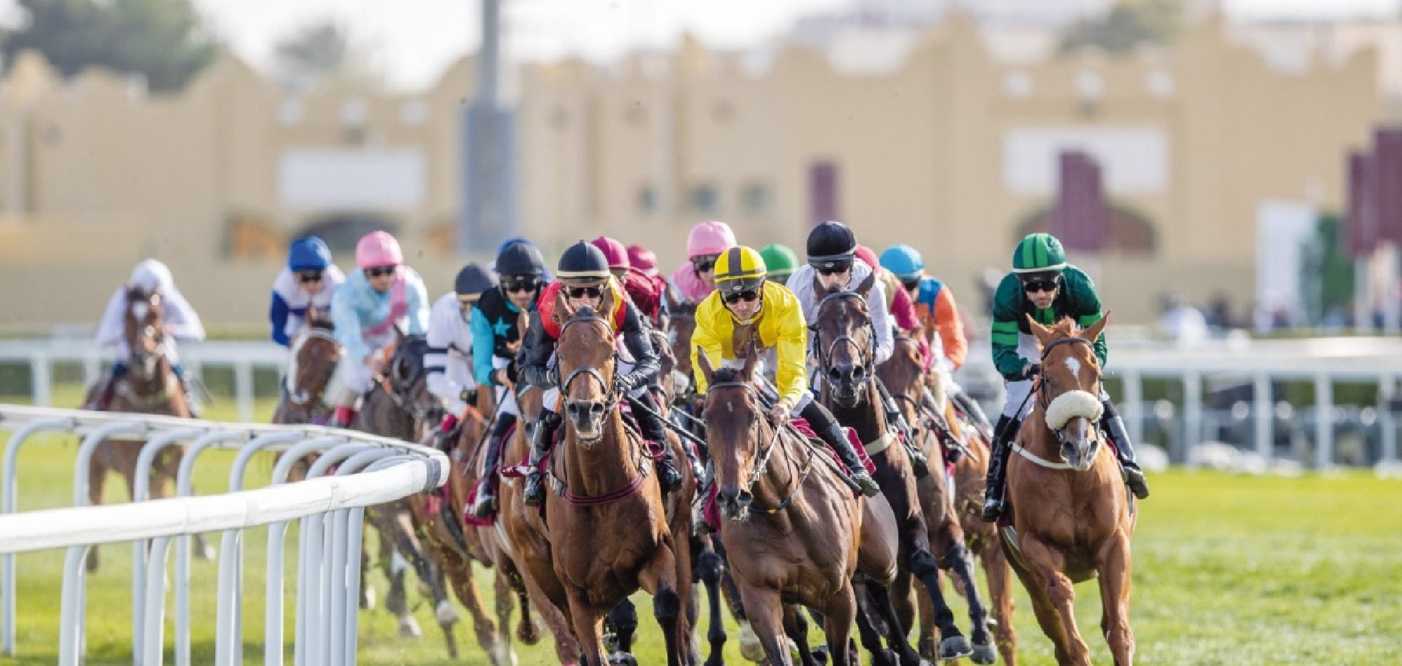 Al Ghariyah Cup to kick off QREC’s action-packed season on October 18