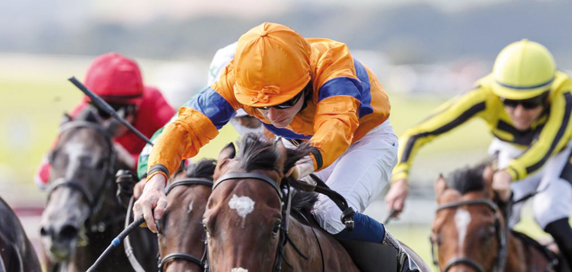 Dominant Asean wins QREC-sponsored race in Curragh