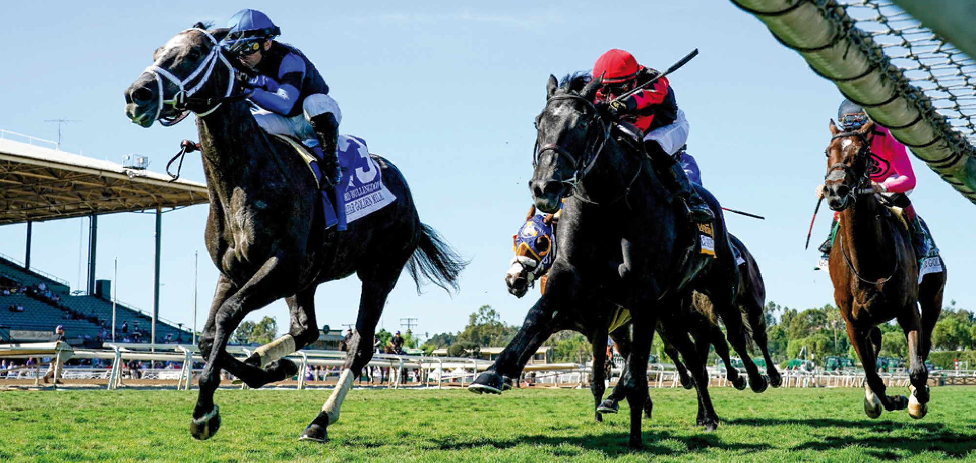 Lord Bullingdon takes QREC-sponsored Qatar Golden Mile at Santa Anita