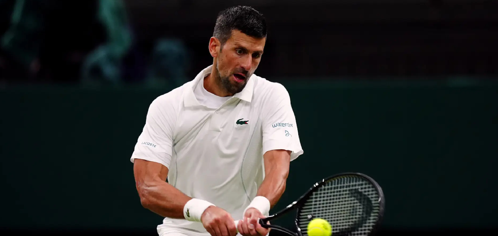 Djokovic gets free pass to Wimbledon semi-finals as Rybakina cruises