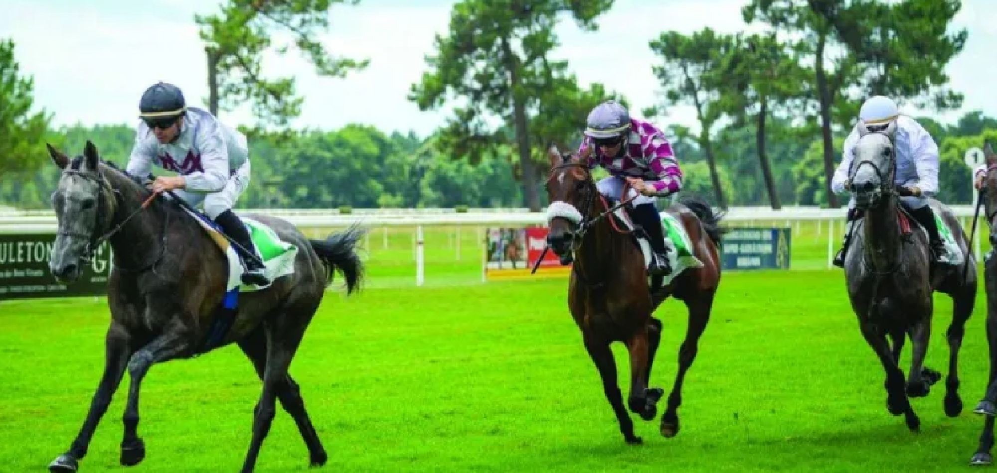 Mukatel Al Shahania claims Prix Tijani