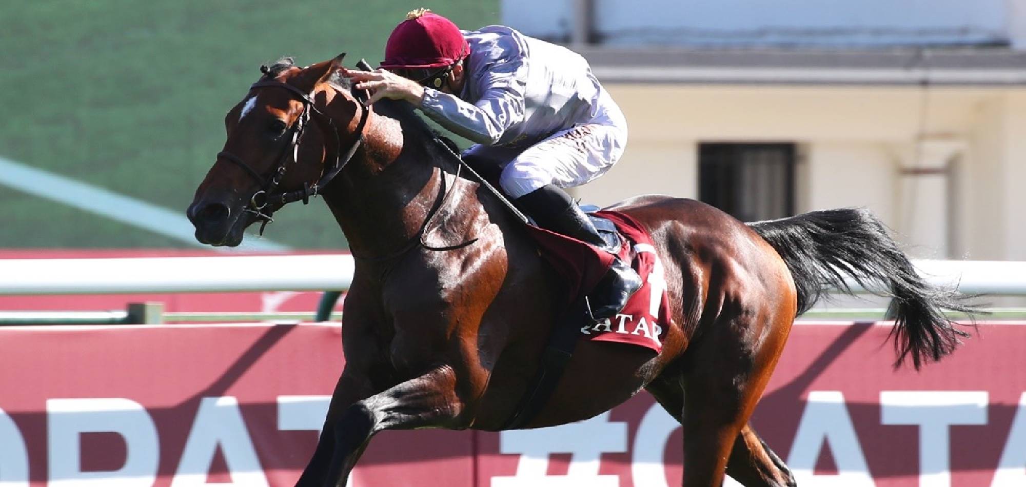 Al Ghadeer Shines Again in Qatar Arabian World Cup Triumph at ParisLongchamp