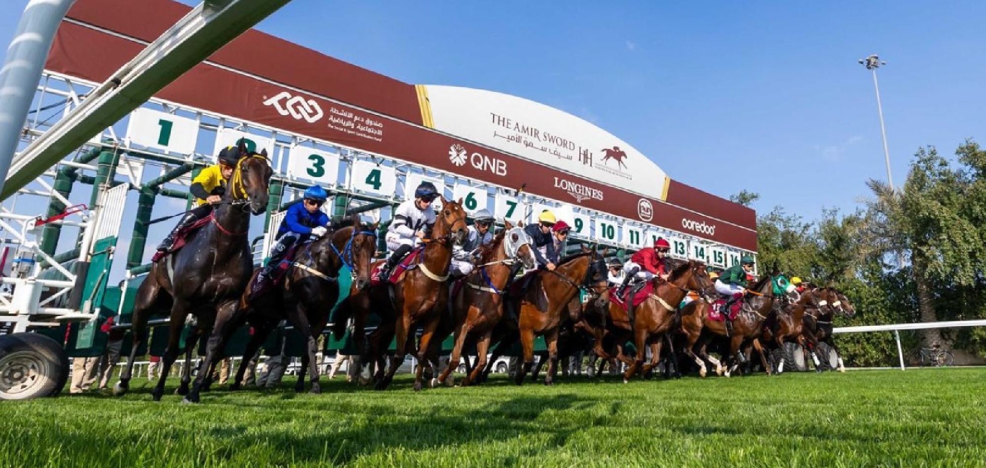 QREC wraps up racing season with one of the best seasons yet