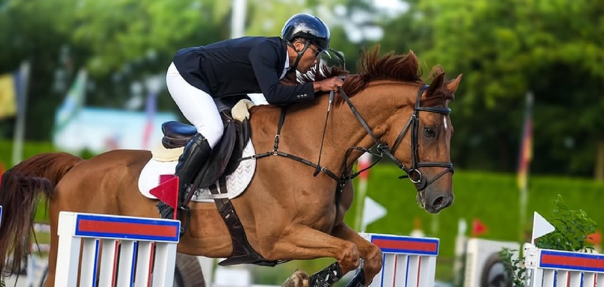 Qatari riders excelled in two international championships in Italy, the Netherlands
