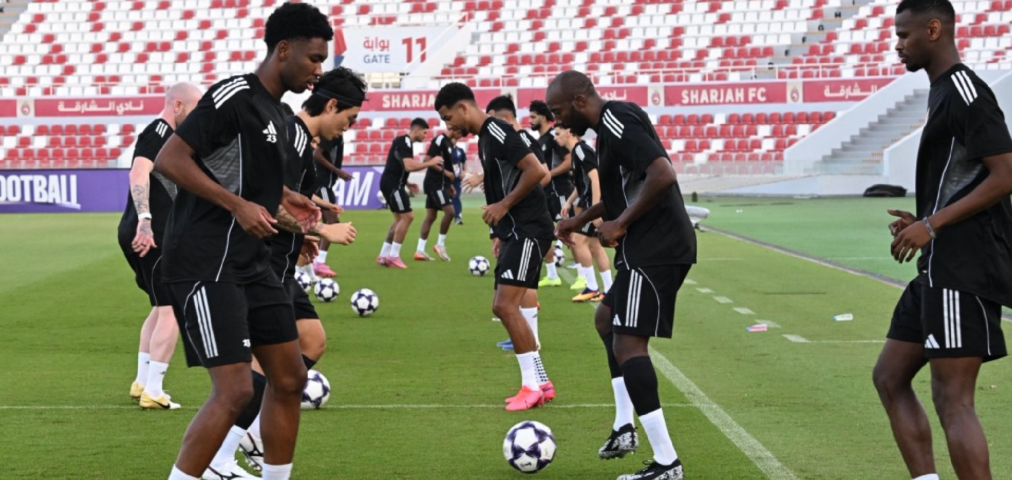Al Sadd Ready for AFC Champions League Elite Tests