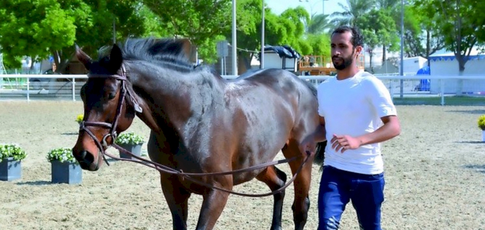 STAGE SET FOR QNB QATAR INTERNATIONAL SHOWJUMPING GALA