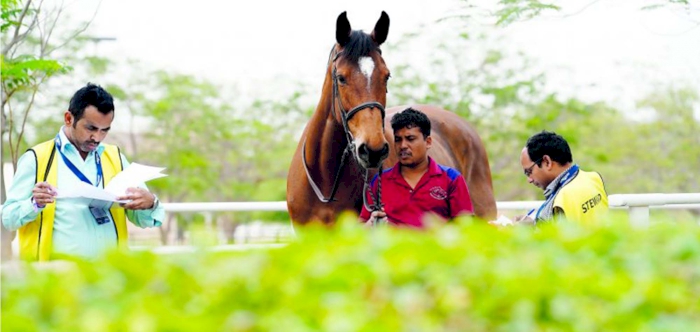 STAGE SET FOR LGCT SEASON OPENER