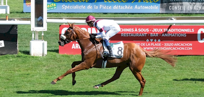 HAYZUM TAKES THE PRIX DE LA VILLE DE TEICH