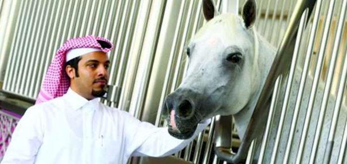 LECTURE HIGHLIGHTS ROLE OF ARABIAN THOROUGHBREDS IN QATARI SOCIAL LIFE