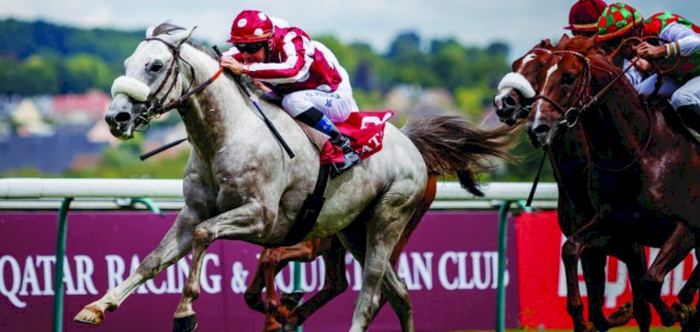 SIX QATARI-OWNED COLTS VIE FOR FRANCE HONOURS