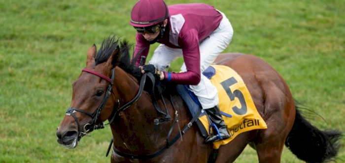 Know It All wins GR 3 Derrinstown Stud Fillies Stakes