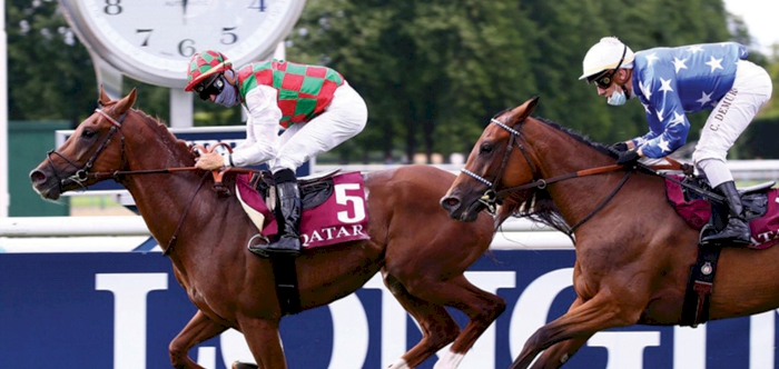 Hattal wins QREC-sponsored Gr 1 Qatar Derby des Pur-Sang Arabe de 4 Ans