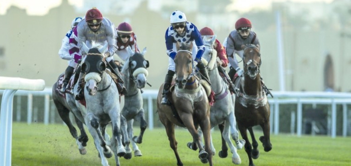 $1.37m up for grabs at Qatar International Derby Festival