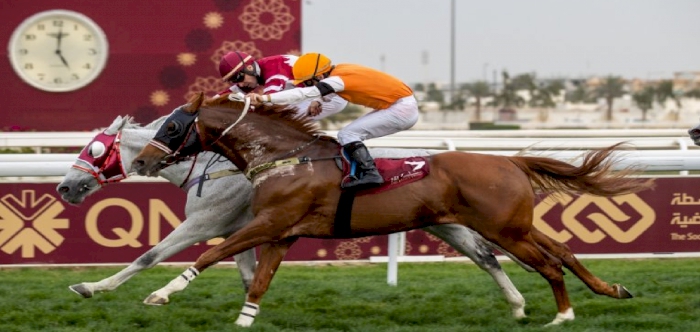 Al Zubara Trophy: Guillambert guides Aaley Al Magam to win