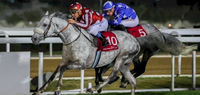 Qatar Gold Sword Begins today at QREC Al Rayyan Park