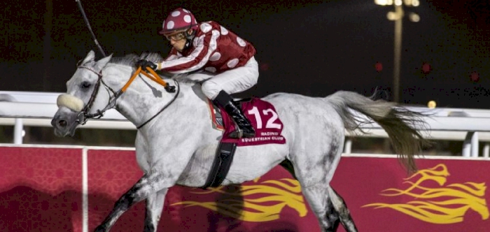 Tayf impresses as Thomas wins Qatar Gold Sword in spectacular fashion