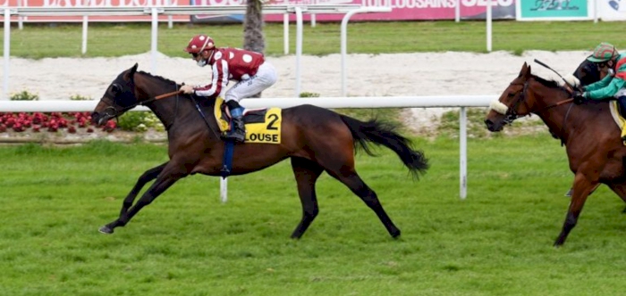 FATEN  & HM AL SAKEB secured wins in their respective runs in Toulouse