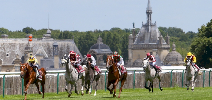 SAMLLA Remains Unbeaten Taking Qatar Coupe De France Des Chevaux Arabes