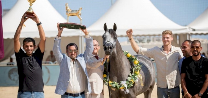 Siwar Al Shaqab crowned Gold Champion in Menton