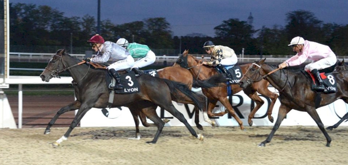 Al Shaqab Racing’s TAFSER breaks maiden at Lyon