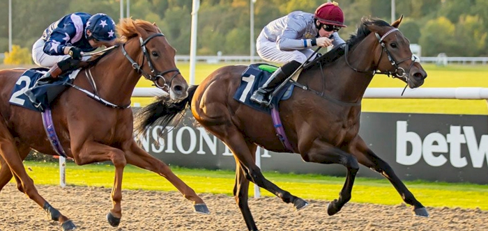 Al Shaqab Racing’s JILMOD off the mark on handicap debut