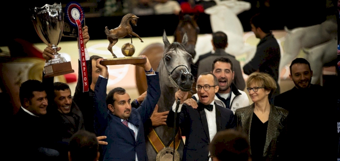 Siwar Al Shaqab crowned Junior Filly World champion in Paris