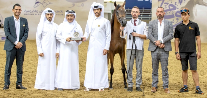 2nd Arabian Horse Show For Local Bred