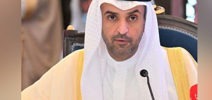 GCC Secretary General condemns German Minister