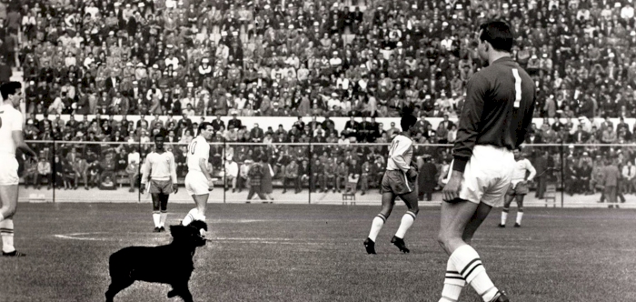 World Cup Moments: Iconic pitch invader headlined 1962 tournament 