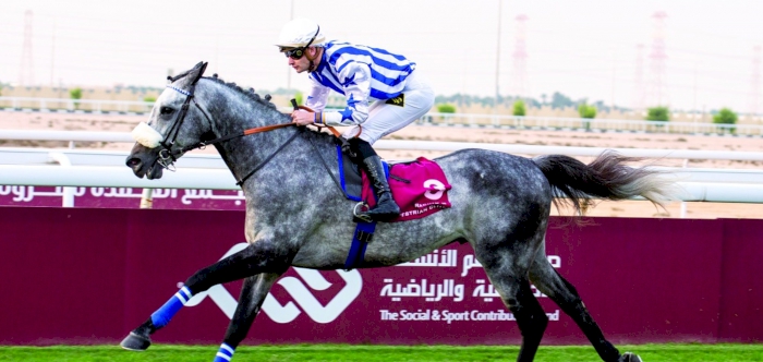 Delozier guides Amyr Du Soleil to Ras Umm Hasah Cup success