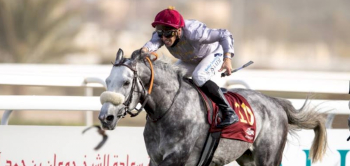 Sheikh Joaan bin Hamad Al-Thani Rifle Day Begins Tomorrow