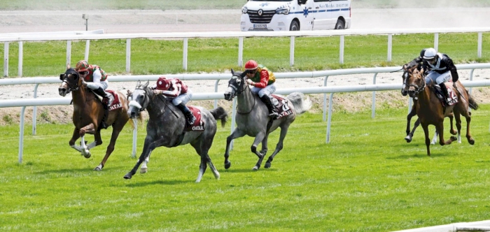 QREC-sponsored Qatar Prix de l’Elevage set to take place in France on Tuesday