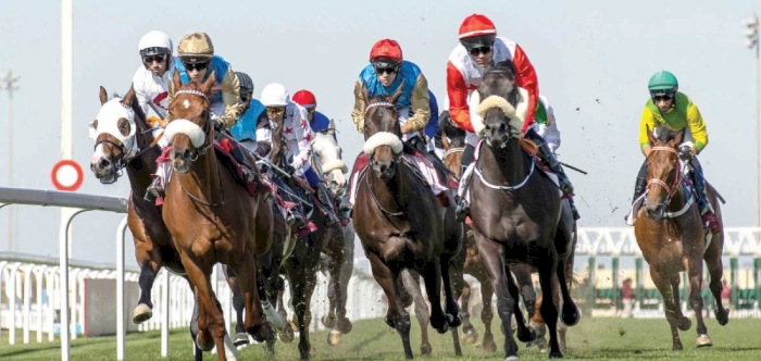 QREC set to host thrilling races at Al Rayyan and Al Uqda
