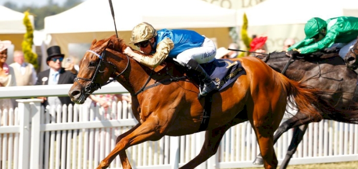 Wathnan Racing’s Crimson Advocate strikes again in Duke of Cambridge