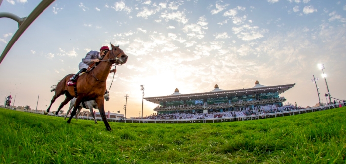 QREC announces staging Oaks Qatar Sunday, Qatar International Derby Saturday