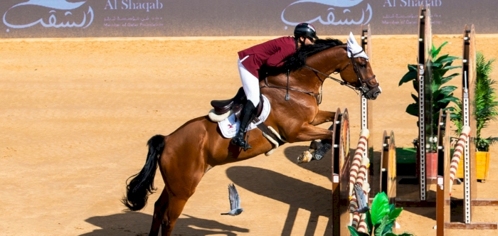 Al Shaqab Cup Chief: Tournament Showcased Elite Readiness, Flexibility