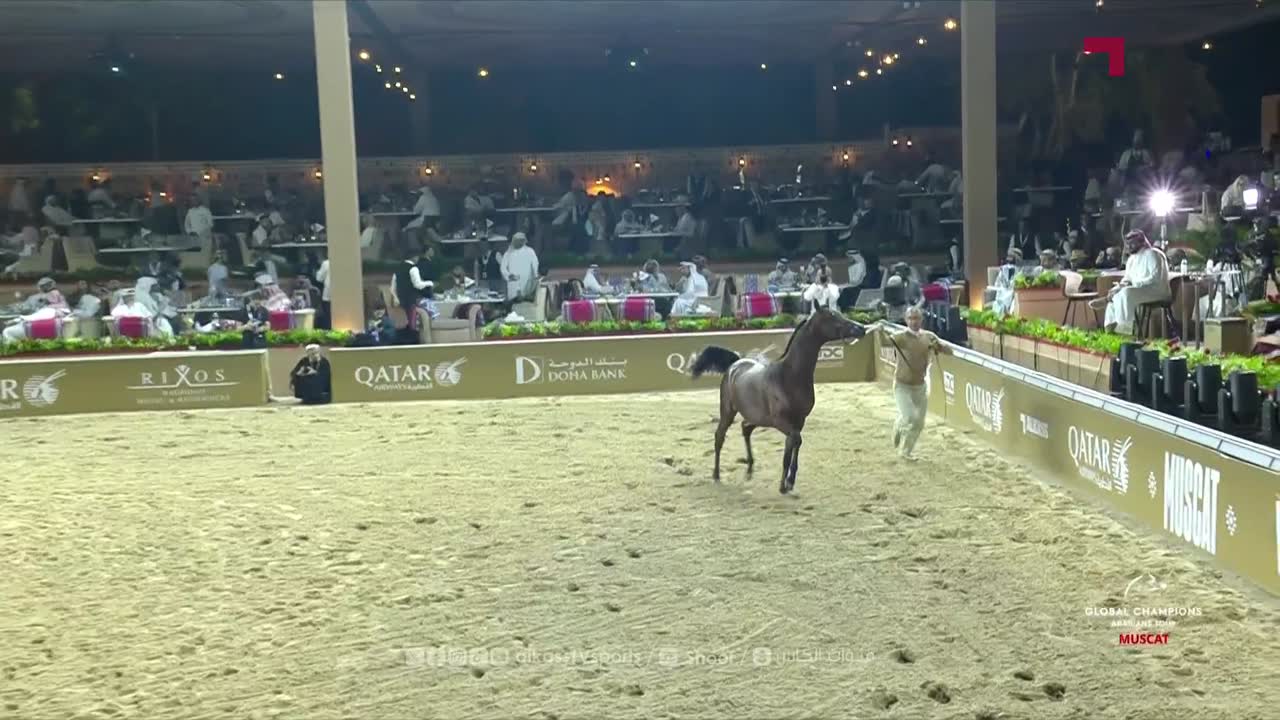 The live studio of the Global Champions Arabians Tour 2025 | Day 1 | Oman, Muscat