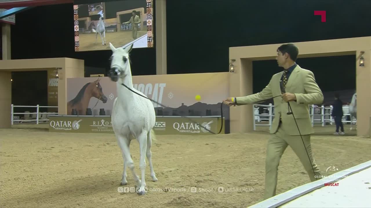 The live studio of the Global Champions Arabians Tour 2025 | Day 2 | Oman, Muscat
