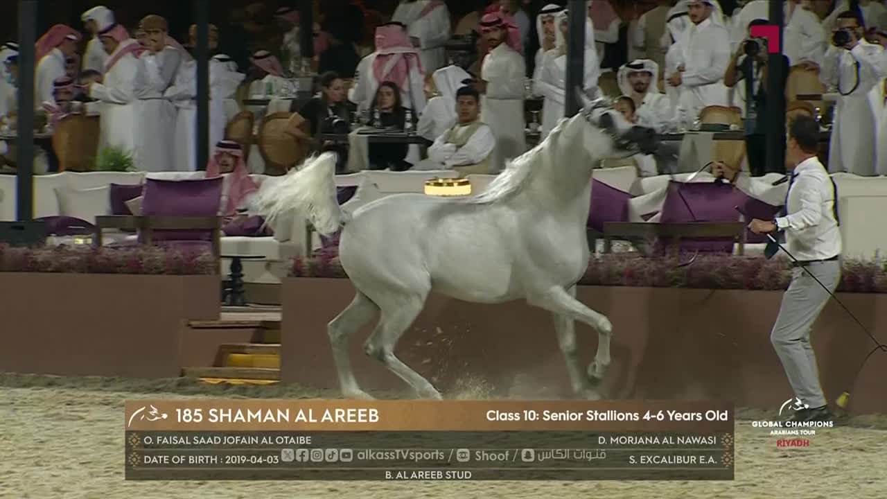 Global Champions Arabians Tour - Day 3: Riyadh