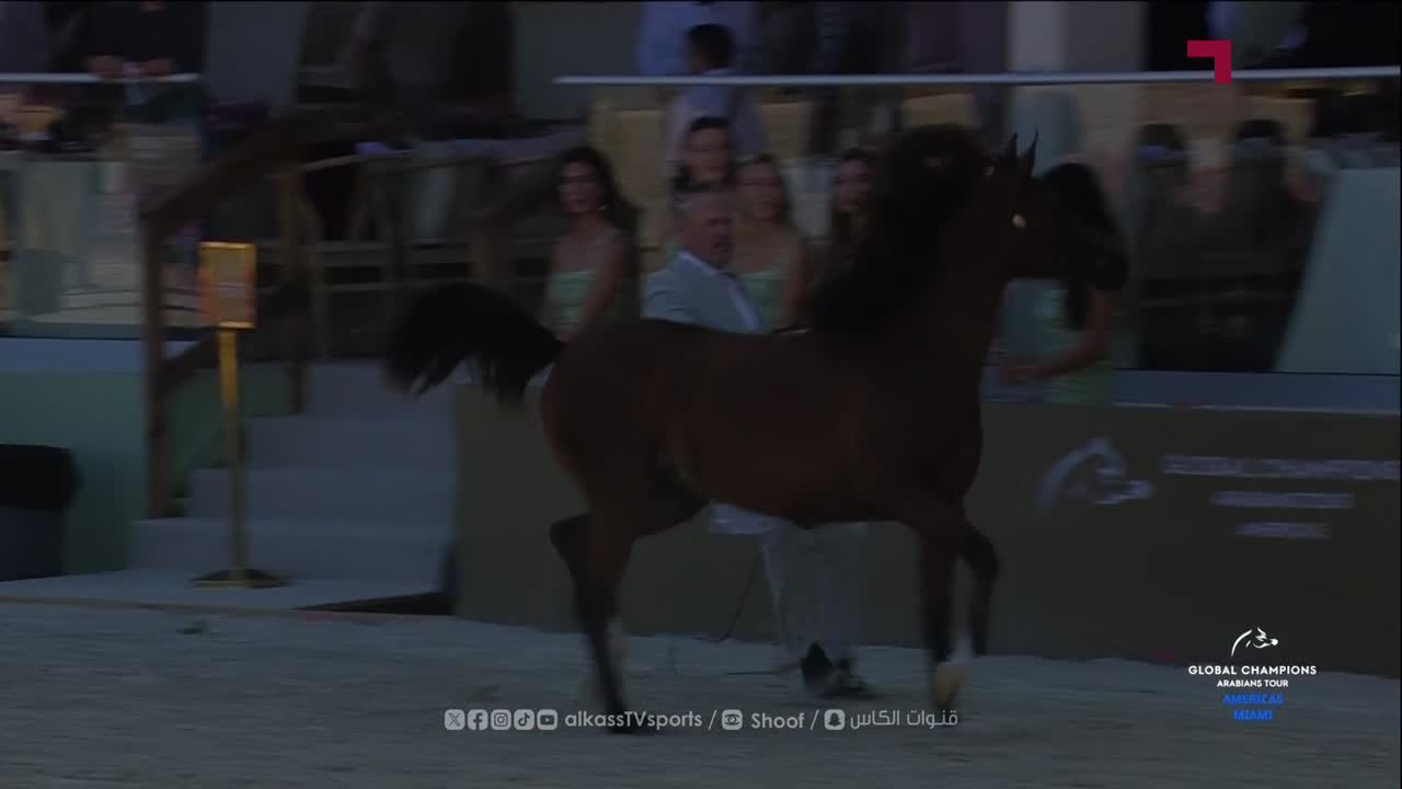 GCAT Americas Miami Beach 2025 - DAY 1